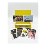The Monarch Co Ilk 50 Hayvan Eğitici Zeka Kartları - Bebek ve Çocuk Gelişimi Için Gerçek Görselli Flashcard Seti