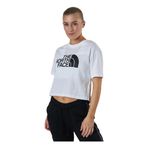 The North Face Cropped Easy Kadın Beyaz Bisiklet Yaka Tişört, M, NF0A4T1RFN41