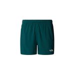 The North Face Erkek 24/7 5' Şort NF0A882D6GI1 Çok Renkli REGM