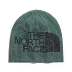 THE NORTH FACE Erkek bere ters çevrilebilir Highline