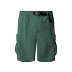 The North Face Erkek CARGO POCKET Şort NF0A8BJGHCH1 Su Yeşili REGS