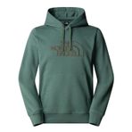 The North Face Erkek DREW PEAK LIGHT REGULAR HOODIE Sweatshir NF0A8C1BAQI1