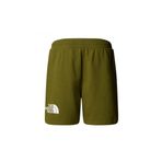 The North Face Erkek EASY REGULAR Şort NF0A8C2SPIB1 Yeşil REGL