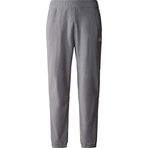 THE NORTH FACE Erkek eşofman altı 100 Glacier Pant