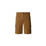 The North Face Erkek HORIZON Şort - EU NF0A824D8W01 Kahverengi REG30