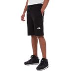 THE NORTH FACE Erkek standart tişört, Siyah, S