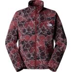 The North Face Erkek Tnf Easy Wınd Track Ceket NF0A88XY61G1 - Çok Renkli