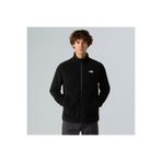 THE NORTH FACE Glacier Erkek Siyah Polar Ceket