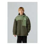 THE NORTH FACE Haki Erkek Çocuk Mont NF0A88TPC8I1-B REVERSIBLE SHASTA FZ
