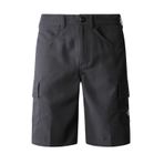 THE NORTH FACE Horizon erkek şortu