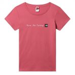 The North Face Kadin S/S Neverstopexploring Tisort Nf00a6pr3961