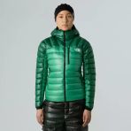 The North Face Kadın Summıt Breıthorn Kapüşonlu K. Tüyü Ceket Nf0a8805e271