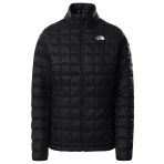 The North Face Kadın Tball Eco Ceket Nf0a5gldjk31