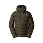 The North Face M Aconcagua 3 Hoodie Erkek Outdoor Montu NF0A84I121L1 Yeşil - S