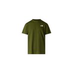 THE NORTH FACE M Box Nse Celebration Reg Ss Tee Erkek Günlük Tişört Yeşil T-Shirt