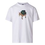 The North Face M Donkey Taxı Relaxed Short Sleeve Tee-G Erkek Tişört Nf0a8g9ffn41