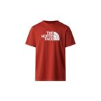 THE NORTH FACE M EVOLUTION HALF DOME REGULAR SHORT SLEE Erkek Tişört NF0A8B6JG6I1 Gri-XXL
