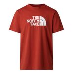 The North Face M Evolutıon Half Dome Regular Short Slee Erkek Tişört Nf0a8b6jg6ı1