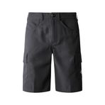 The North Face - M Horizon Short - AB Erkek Şortu