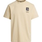 The North Face M Icon Celebratıon Regular Short Sleeve Erkek Tişört NF0A8GASDOM1 - Gri