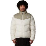 The North Face M Saikuru Jacket Erkek Günlük Mont NF0A853I4QI1 Bej - 2XL