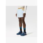 The North Face M Summer Lt Short 4In Erkek Şort