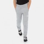 The North Face NF0A2WAIGAV1 Y Fleece Pant Erkek Çocuk Eşofman Altı