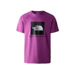 The North Face NF0A3BQOLV11 M Raglan Redbox Tee Günlük Mor Erkek T-shirt