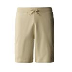 The North Face NF0A3S4F3X41 Graphic Light Sportshorts Erkek Şort