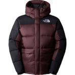 The North Face NF0A4QYXLOS1 Hmlyn Down Kahverengi Erkek Parka Ceket