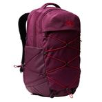 The North Face NF0A52SIOHE1 W Borealis Outdoor Sırt Çantası