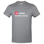 The North Face NF0A7ZC2DYY1 Gri M Gps Tee İstanbul Rec Günlük Erkek T-shirt