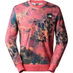 The North Face NF0A8238IOC1 Renkli M Summer Logo Crew Erkek Günlük Sweatshirts