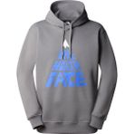 The North Face NF0A87EJ0UZ1 M Mountain Play Gri Hoodie Erkek Sweatshirt
