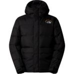 The North Face NF0A88XEJK31 Siyah M HMLYN 30 Anniversary Parka Erkek Outdoor Montu