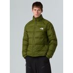 THE NORTH FACE NF0A88XUBRI1-HYDRENALI DOWN JACKET Yeşil Düz Erkek Mont