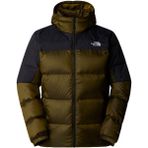The North Face NF0A899290I1 Dıablo Down 2.0 Yeşil Kapüşonlu Erkek Mont