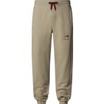 The North Face NF0A89DB1I41 Gri Coordinates Erkek Pantolon