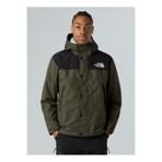 THE NORTH FACE NF0A8B5GBQW1-M REIGN ON JACKET Yeşil Düz Erkek Mont