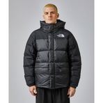 The North Face Siyah M Hmlyn Down Parka Erkek Mont