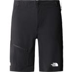 THE NORTH FACE Speedlight Slim Straight erkek şortu