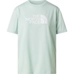 The North Face W Evolutıon Half Dome Relaxed Short Slee Kadın Tişört NF0A8B6UG701 - Yeşil
