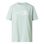 The North Face W Evolutıon Half Dome Relaxed Short Slee Kadın Tişört Nf0a8b6ug701