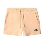 The North Face W Logowear Short Kadin Sort Nf0a7qzx3r81