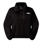 The North Face W Ma Fleece interest 1/4 Zip Kadın Outdoor Sweatshirts NF0A8BFPJK31 Siyah