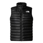 The North Face W TERRA PEAK VEST Kadın Ceket NF0A8DEGJK31