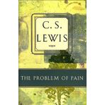 The Problem of Pain