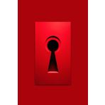 The Safe Place : A Stylish Journal | notebook for Secrets, Notes, and Secure Passwords – Perfect for Women & Girls | (6x9) niches | 120 pages: Keep ... Place | Organize All Your Logins, Username