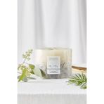The White Company Fir Tree Botanical Büyük Kokulu Mum 1675 G