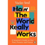 The World Really Works: A Scientist S Guide To Our Past, Present And Future